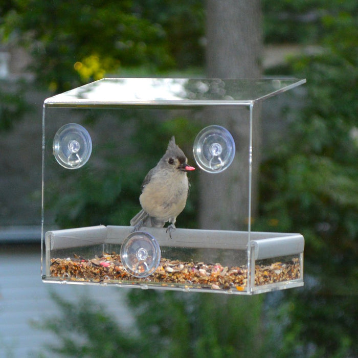 Top 5 Bird Feeds To Buy In 2018!