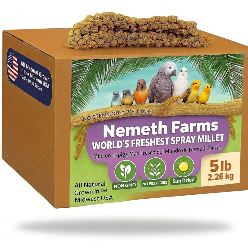 USA Grown Spray Millet for Birds – Midwest Harvest, 5 lb Premium Natural Non - GMO Whole Millet Sprays for Parakeets, Cockatiels, Budgies, Conures, Lovebirds, Finches & Parrots