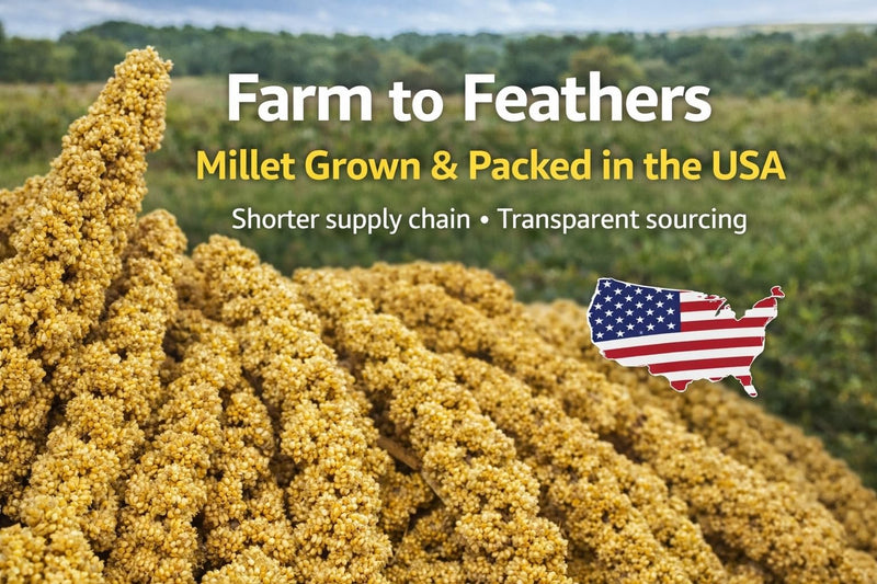 Farm to Feathers™ Wholesome Spray Bird Millet & Cuttlebone Bundle – USA Grown Millet Sprays for Parakeets, Budgies, Cockatiels, Finches & Canaries – 2 lb Wholesome Millet + 4” Cuttlebone (4 Pack)
