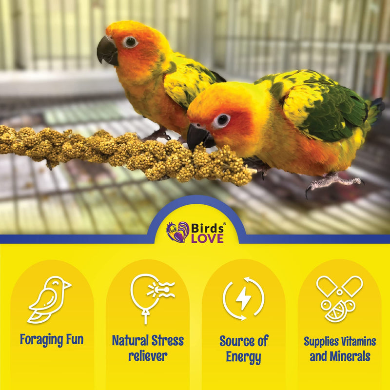 Birds LOVE Economy Special Spray Millet GMO-Free (No Stems Only Edible Tops) for Birds Cockatiel Lovebird Parakeet Finch Canary All Parrots Healthy Treat - 25lbs