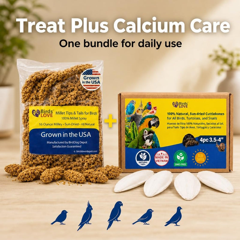 Farm to Feathers™ Bird Millet & Cuttlebone Bundle – USA Grown Millet Sprays for Parakeets, Budgies, Cockatiels, Finches & Canaries – 1 lb Tips & Tails Millet + 4” Cuttlebone (4 Pack)