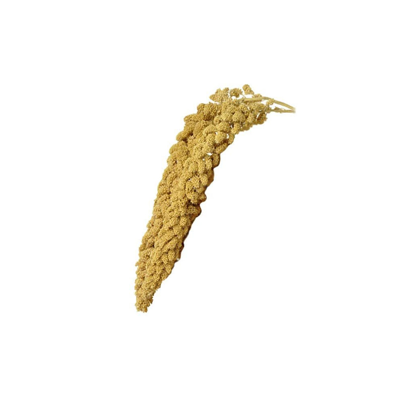 Birds LOVE Spray Millet – 9 oz GMO-Free, No Stems (Only Edible Tops) – Healthy Treat for Parakeets, Cockatiels, Finches, Canaries & Lovebirds