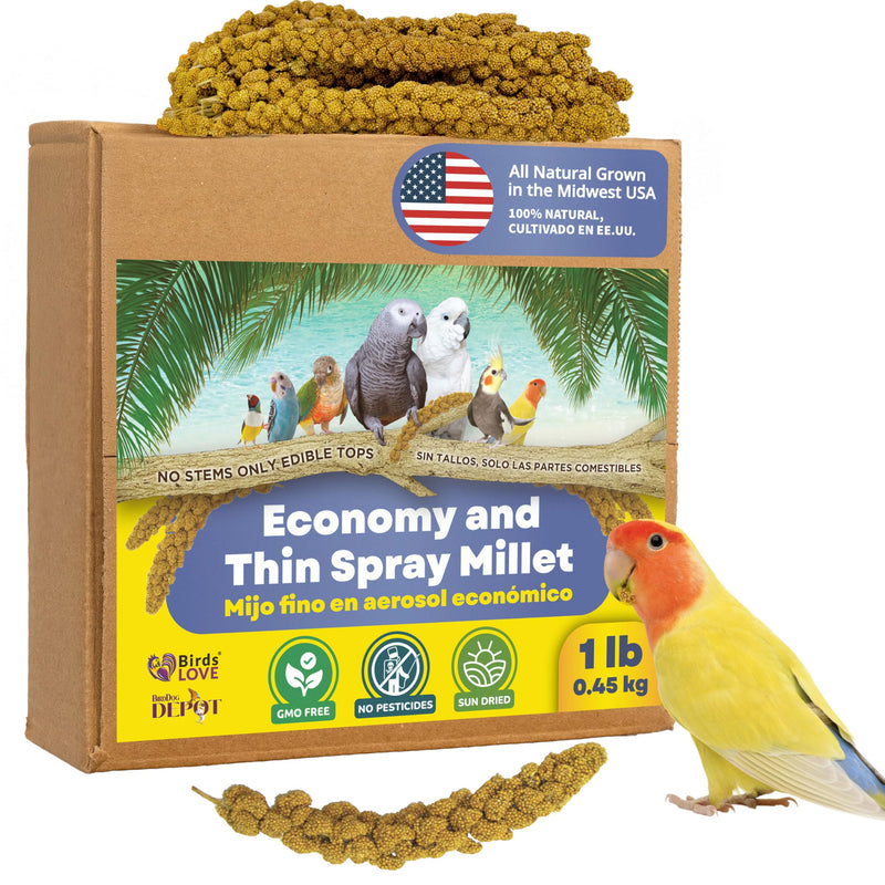 1lb Economy & Special Spray Millet for Birds – GMO-Free, No Stems (Only Edible Tops) – 100% Natural Sun-Dried Foraging Treat for Cockatiels, Lovebirds, Parakeets, Finches & Canaries