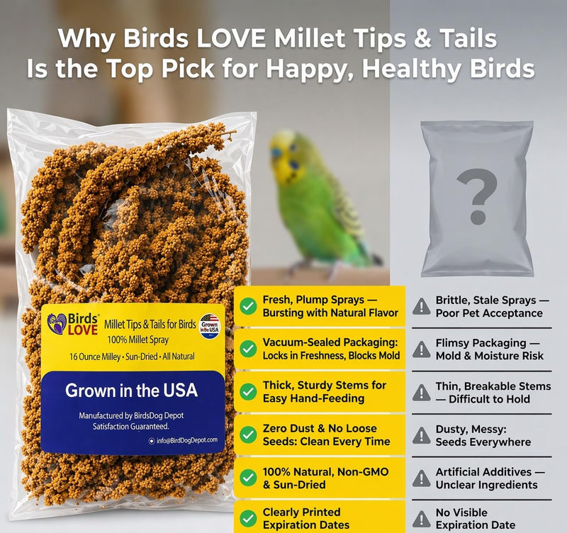 Birds LOVE® 1lb Millet Tips & Tails for Birds – Premium Spray Millet Treat, USA Grown – Natural & Healthy Bird Food for Parakeets, Cockatiels, Budgies, Lovebirds, Finches, Canaries & Parrots – 2 Pack