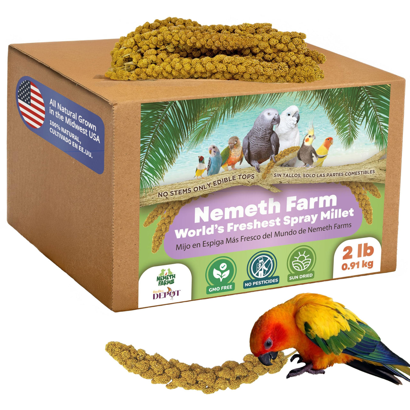 Bird Dog Depot Millet