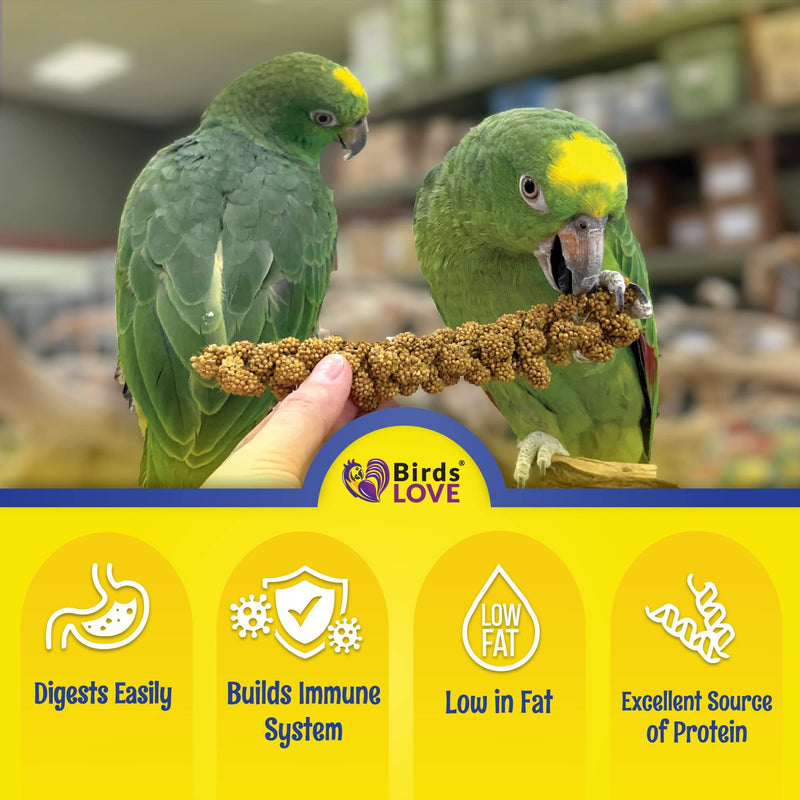 Birds LOVE Economy Special Spray Millet GMO-Free (No Stems Only Edible Tops) for Birds Cockatiel Lovebird Parakeet Finch Canary All Parrots Healthy Treat - 2lbs
