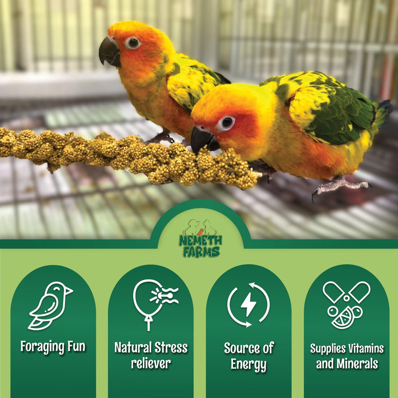USA Grown Spray Millet for Birds–Midwest Harvest, 1 lb Premium Natural Non-GMO Whole Millet Sprays for Parakeets, Cockatiels, Budgies, Conures, Lovebirds, Finches & Parrots