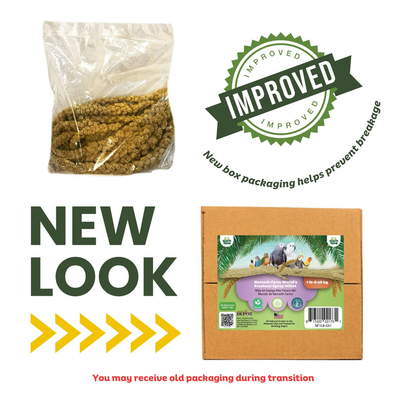USA Grown Spray Millet for Birds–Midwest Harvest, 1 lb Premium Natural Non-GMO Whole Millet Sprays for Parakeets, Cockatiels, Budgies, Conures, Lovebirds, Finches & Parrots