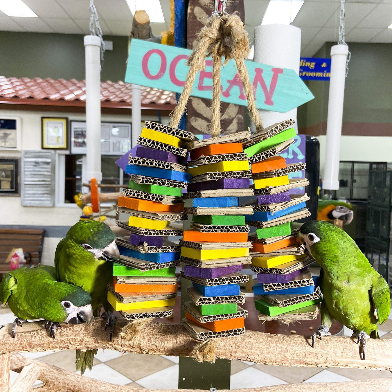 Bird Toys