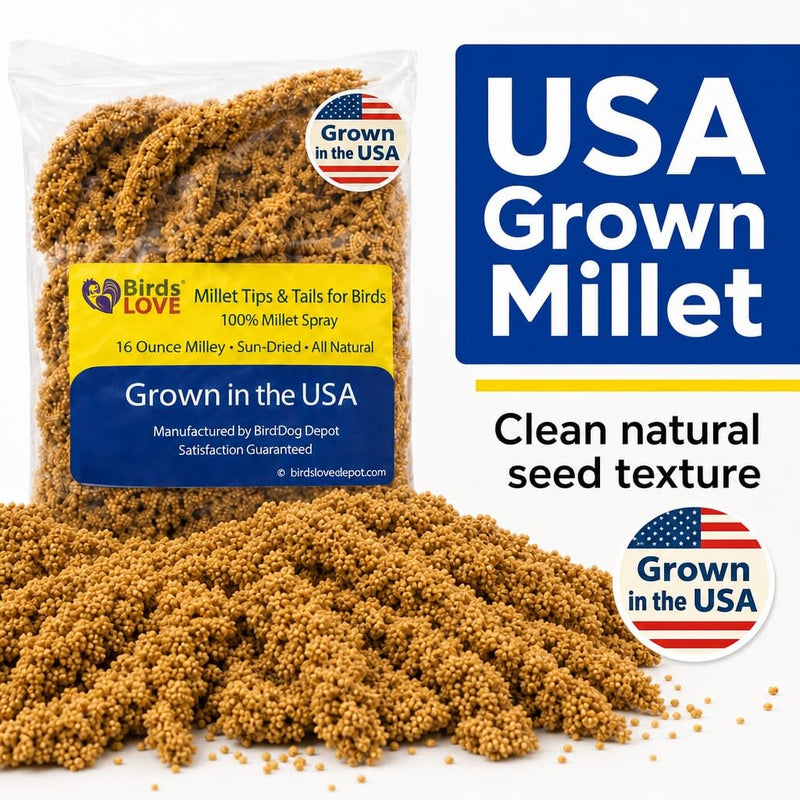 Farm to Feathers™ Bird Millet & Cuttlebone Bundle – USA Grown Millet Sprays for Parakeets, Budgies, Cockatiels, Finches & Canaries – 1 lb Tips & Tails Millet + 4” Cuttlebone (4 Pack)