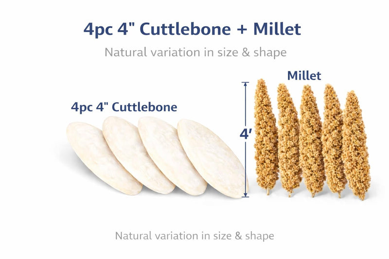 Farm to Feathers™ Bird Economy Millet & Cuttlebone Bundle – USA Grown Millet Sprays for Parakeets, Budgies, Cockatiels, Finches & Canaries – 9oz (Pack of 1) + 4” Cuttlebone (4 Pack)