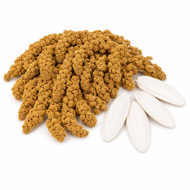 Farm to Feathers™ Wholesome Spray Bird Millet & Cuttlebone Bundle – USA Grown Millet Sprays for Parakeets, Budgies, Cockatiels, Finches & Canaries – 2 lb Wholesome Millet + 4” Cuttlebone (4 Pack)
