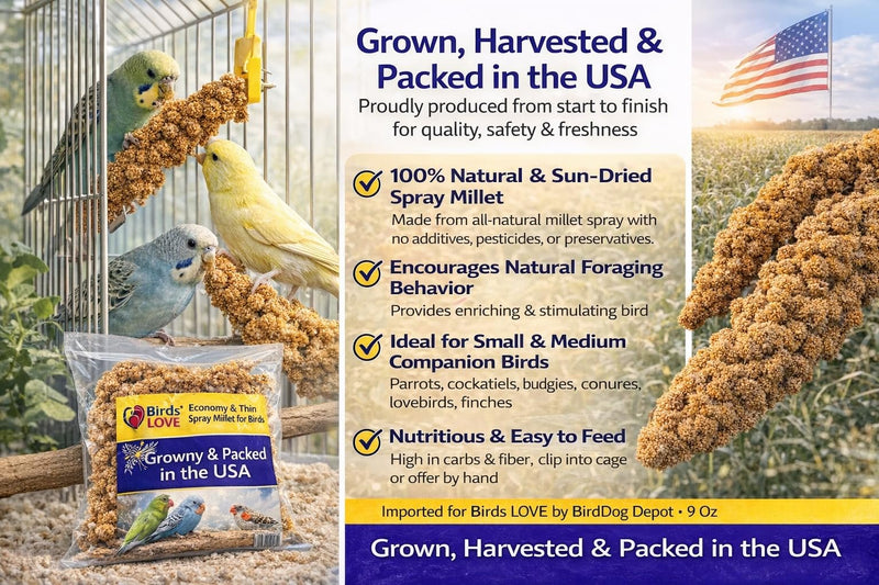 Farm to Feathers™ Bird Economy Millet & Cuttlebone Bundle – USA Grown Millet Sprays for Parakeets, Budgies, Cockatiels, Finches & Canaries – 9oz (Pack of 1) + 4” Cuttlebone (4 Pack)