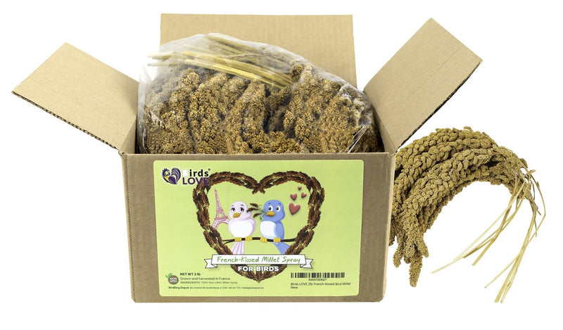 Birds LOVE French Kissed Spray Millet for Birds - Parakeets, Cockatiels, Lovebirds, Finches, Budgies, Canaries, Cockatoos - Natural & Healthy Bird Millet - Parakeet Food & Treats for All Parrots 2lbs