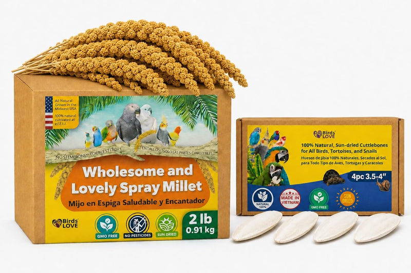 Farm to Feathers™ Wholesome Spray Bird Millet & Cuttlebone Bundle – USA Grown Millet Sprays for Parakeets, Budgies, Cockatiels, Finches & Canaries – 2 lb Wholesome Millet + 4” Cuttlebone (4 Pack)