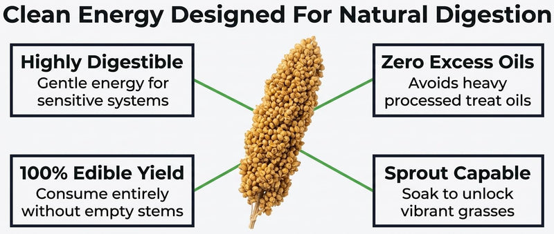 Birds LOVE® 1lb Millet Tips & Tails for Birds – Premium Spray Millet Treat, USA Grown – Natural & Healthy Bird Food for Parakeets, Cockatiels, Budgies, Lovebirds, Finches, Canaries & Parrots – 2 Pack