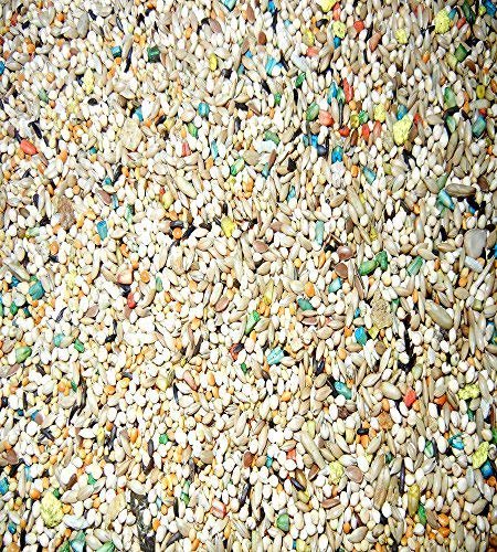 ABBA 1900 Exotic Finch Food 5lbs