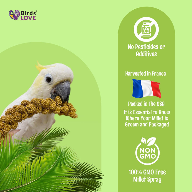 Birds LOVE French Kissed Spray Millet for Birds - Parakeets, Cockatiels, Lovebirds, Finches, Budgies, Canaries, Cockatoos - Natural & Healthy Bird Millet - Parakeet Food & Treats for All Parrots 5lbs