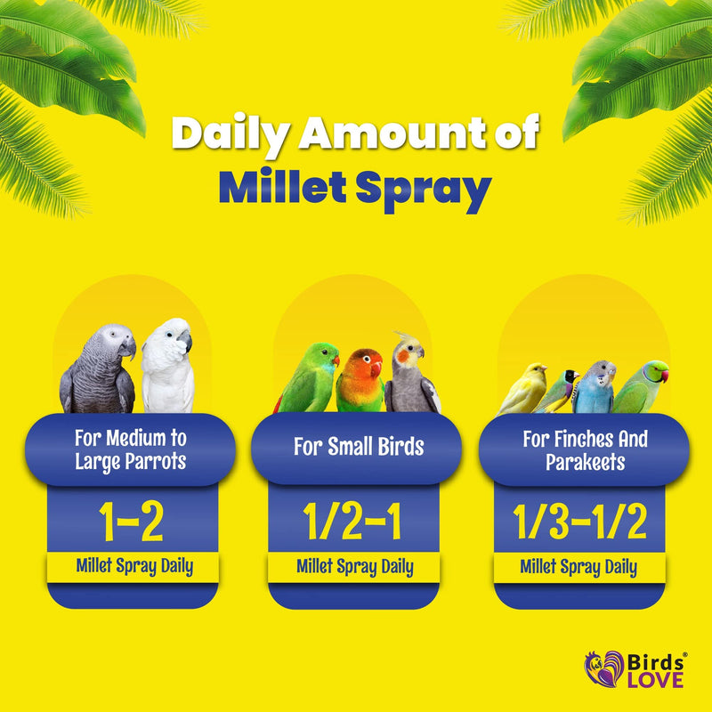 Birds LOVE Economy Special Spray Millet GMO-Free (No Stems Only Edible Tops) for Birds Cockatiel Lovebird Parakeet Finch Canary All Parrots Healthy Treat - 2lbs