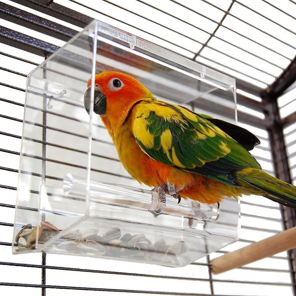 Bird Feeders
