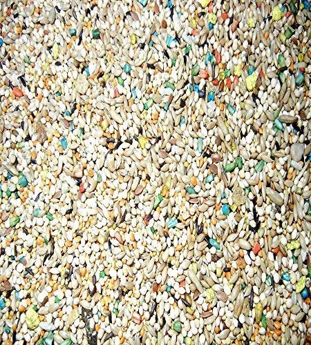 ABBA 1900 Exotic Finch Food 5lbs