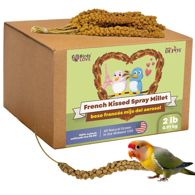 Birds LOVE French Kissed Spray Millet for Birds - Parakeets, Cockatiels, Lovebirds, Finches, Budgies, Canaries, Cockatoos - Natural & Healthy Bird Millet - Parakeet Food & Treats for All Parrots 2lbs