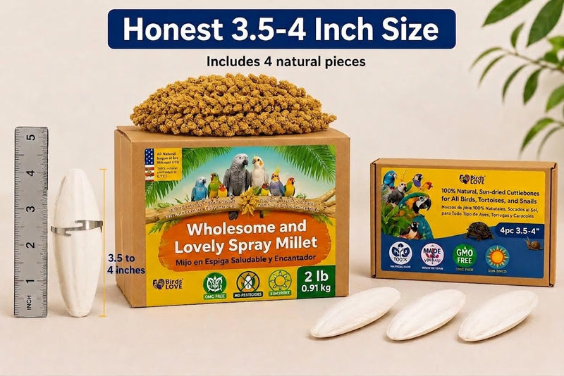 Farm to Feathers™ Wholesome Spray Bird Millet & Cuttlebone Bundle – USA Grown Millet Sprays for Parakeets, Budgies, Cockatiels, Finches & Canaries – 2 lb Wholesome Millet + 4” Cuttlebone (4 Pack)
