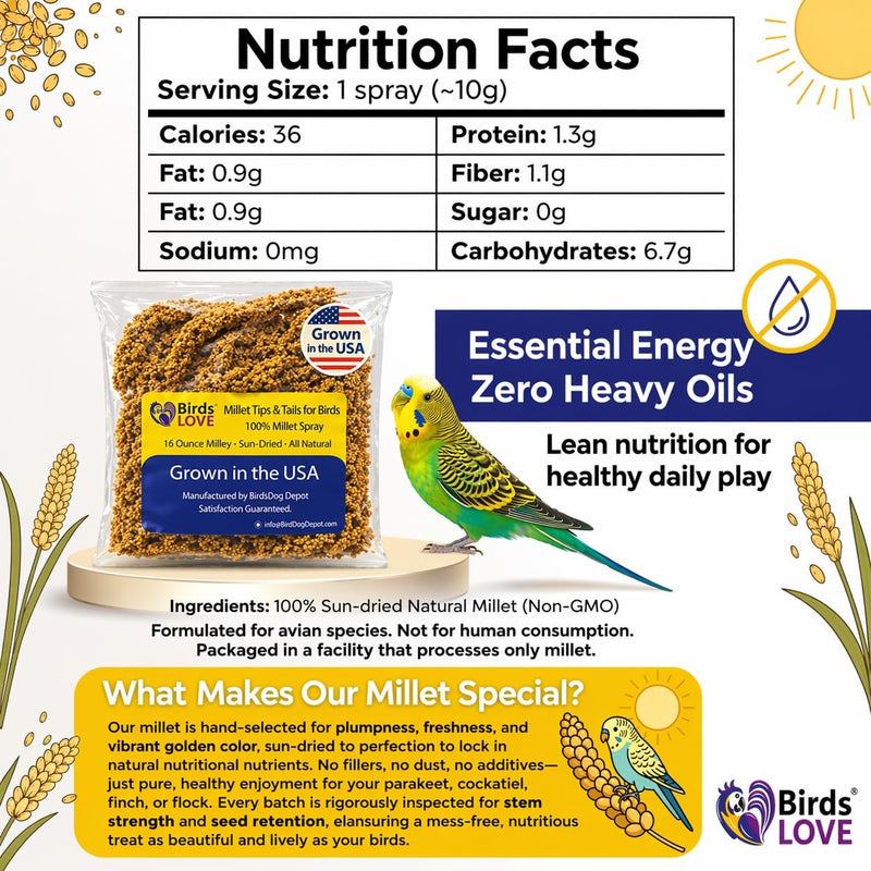 Birds LOVE® 1lb Millet Tips & Tails for Birds – Premium Spray Millet Treat, USA Grown – Natural & Healthy Bird Food for Parakeets, Cockatiels, Budgies, Lovebirds, Finches, Canaries & Parrots – 2 Pack