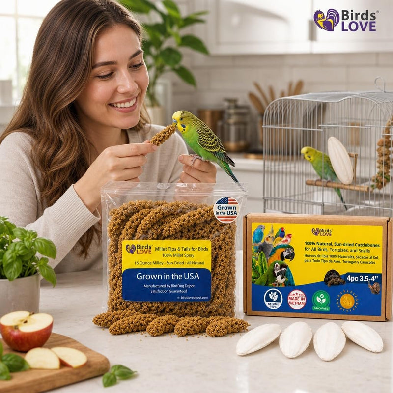 Farm to Feathers™ Bird Millet & Cuttlebone Bundle – USA Grown Millet Sprays for Parakeets, Budgies, Cockatiels, Finches & Canaries – 1 lb Tips & Tails Millet + 4” Cuttlebone (4 Pack)
