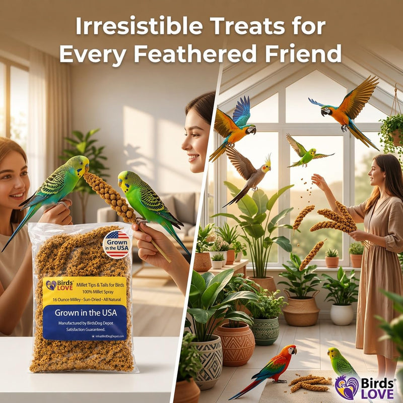 Birds LOVE® 1lb Millet Tips & Tails for Birds – Premium Spray Millet Treat, USA Grown – Natural & Healthy Bird Food for Parakeets, Cockatiels, Budgies, Lovebirds, Finches, Canaries & Parrots – 2 Pack