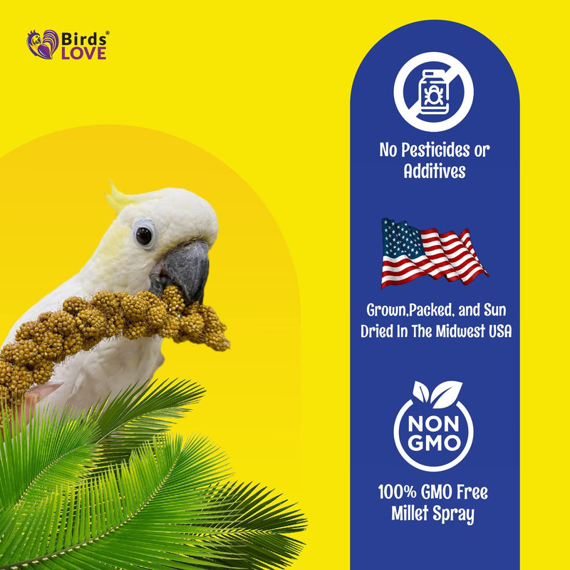 Birds LOVE Economy Special Spray Millet | GMO-Free (No Stems Only Edible Tops) for Birds Cockatiel, Lovebird, Parakeet, Finch, Canary All Parrots Healthy Treat 7 oz -Pack of 2