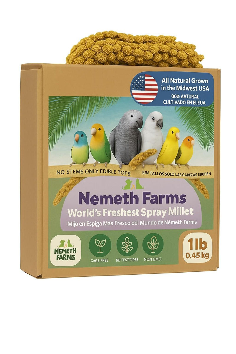 USA Grown Spray Millet for Birds–Midwest Harvest, 1 lb Premium Natural Non-GMO Whole Millet Sprays for Parakeets, Cockatiels, Budgies, Conures, Lovebirds, Finches & Parrots