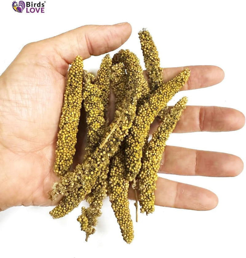 Birds LOVE Millet Tips & Tails for Birds - Parakeets, Cockatiels, Lovebirds, Budgies, Canaries, Cockatoos - Natural & Healthy Millet for Birds, Parakeet Food & Treats for all Parrots, 5oz (Pack of 94)