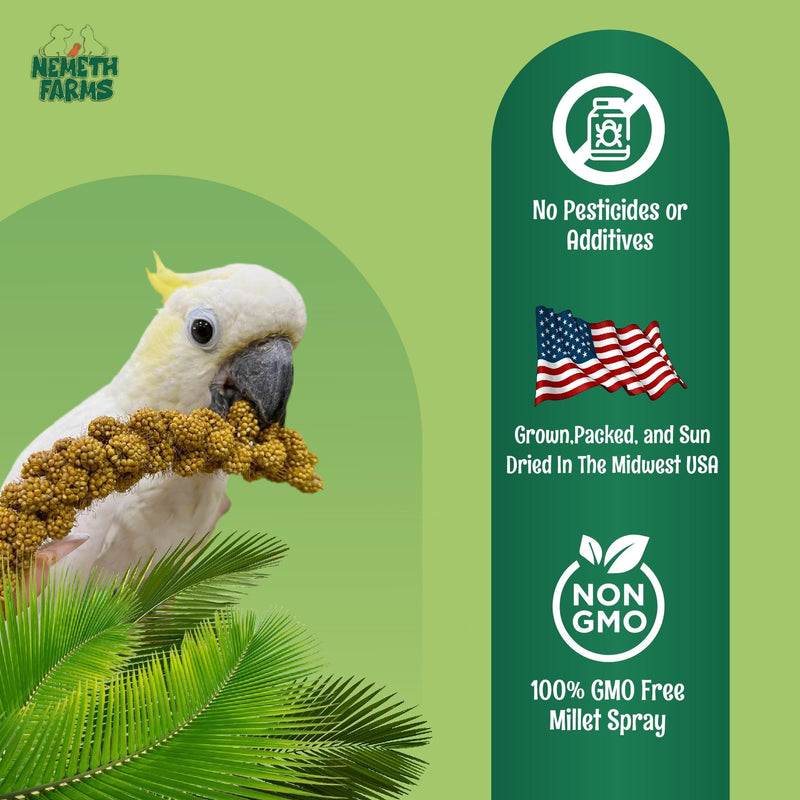 USA Grown Spray Millet for Birds–Midwest Harvest, 1 lb Premium Natural Non-GMO Whole Millet Sprays for Parakeets, Cockatiels, Budgies, Conures, Lovebirds, Finches & Parrots