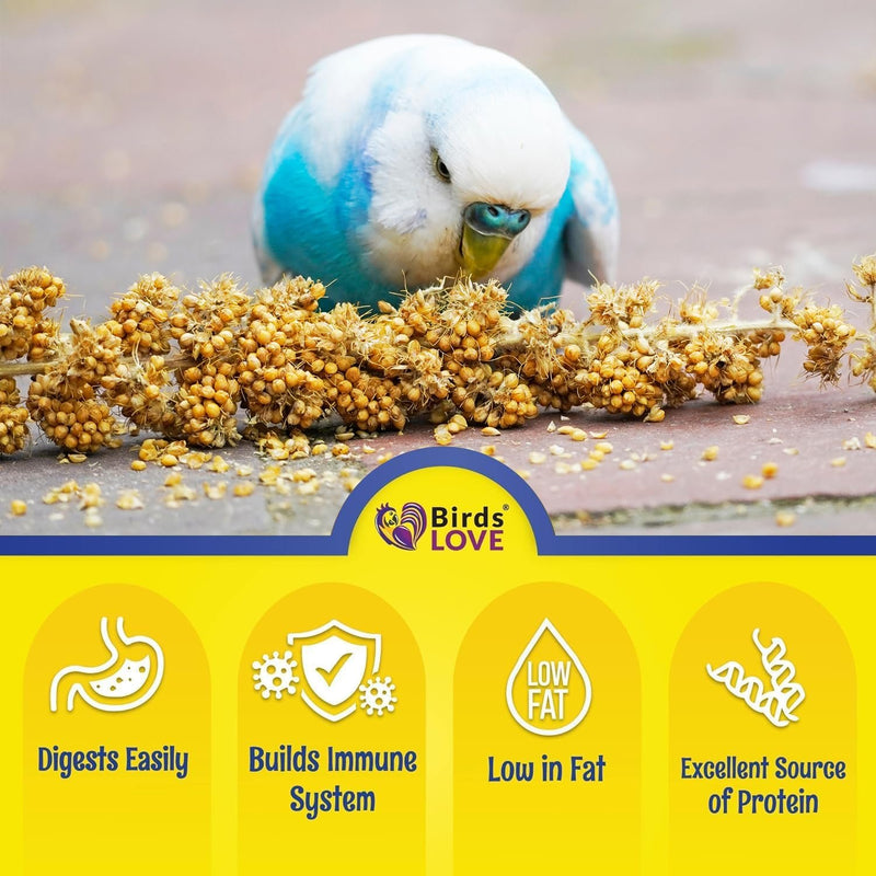 Birds LOVE Millet Tips & Tails for Birds - Parakeets, Cockatiels, Lovebirds, Finches, Budgies, Canaries, Cockatoos - Natural & Healthy Millet for Birds - Parakeet Food & Treats for All Parrots, 1lb