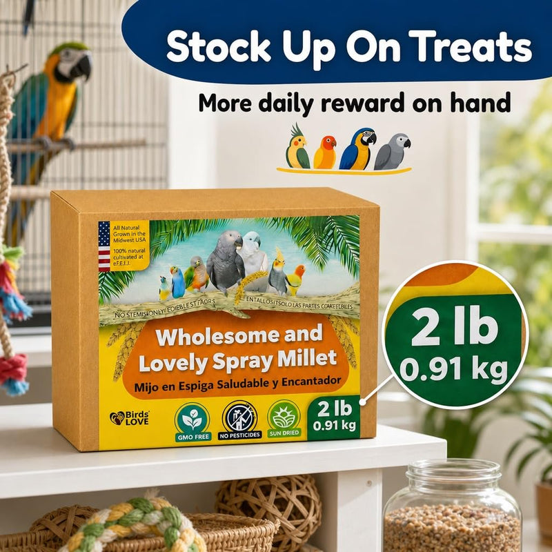 Farm to Feathers™ Wholesome Spray Bird Millet & Cuttlebone Bundle – USA Grown Millet Sprays for Parakeets, Budgies, Cockatiels, Finches & Canaries – 2 lb Wholesome Millet + 4” Cuttlebone (4 Pack)