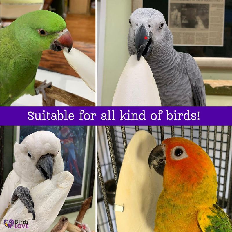 Birds LOVE 4-Piece Natural Cuttlebone 3.5–4-Inch with Holder – Natural Calcium & Trace Mineral Block for Birds & Reptiles – Beak-Trimming Chew Supplement – Safe, 100% Pure, No Fillers