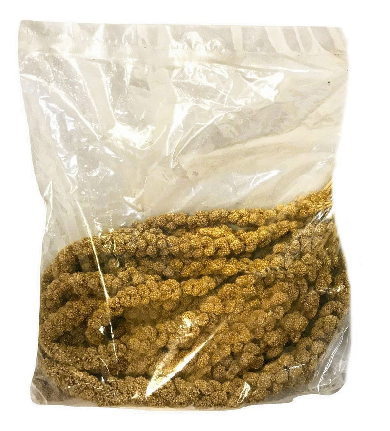 USA Grown Spray Millet for Birds–Midwest Harvest, 1 lb Premium Natural Non-GMO Whole Millet Sprays for Parakeets, Cockatiels, Budgies, Conures, Lovebirds, Finches & Parrots