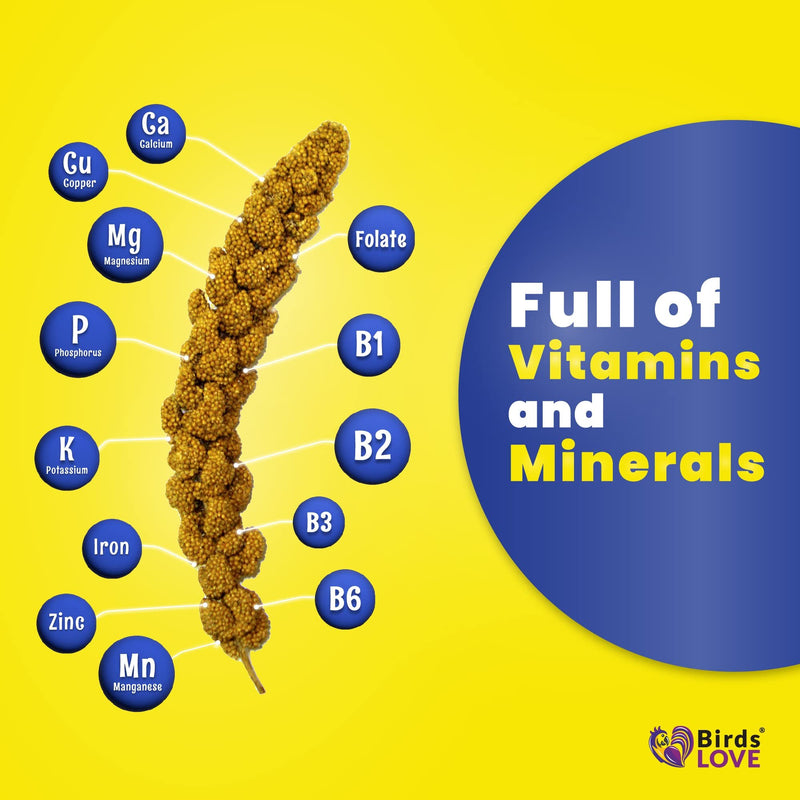 1lb Economy & Special Spray Millet for Birds – GMO-Free, No Stems (Only Edible Tops) – 100% Natural Sun-Dried Foraging Treat for Cockatiels, Lovebirds, Parakeets, Finches & Canaries