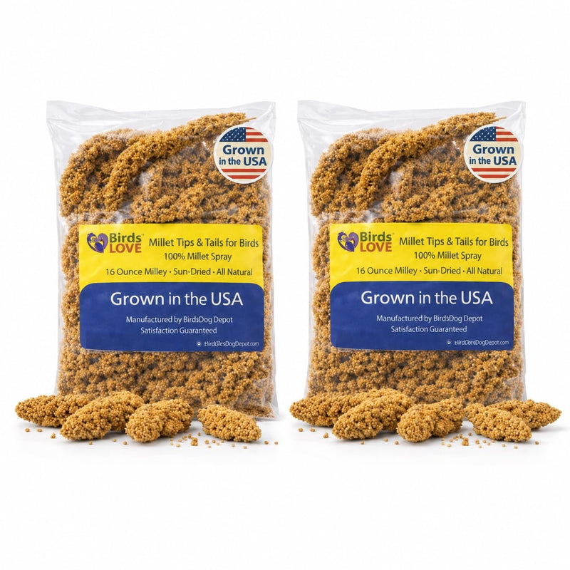 Birds LOVE® 1lb Millet Tips & Tails for Birds – Premium Spray Millet Treat, USA Grown – Natural & Healthy Bird Food for Parakeets, Cockatiels, Budgies, Lovebirds, Finches, Canaries & Parrots – 2 Pack