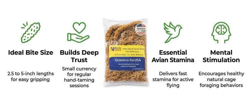 Birds LOVE® 1lb Millet Tips & Tails for Birds – Premium Spray Millet Treat, USA Grown – Natural & Healthy Bird Food for Parakeets, Cockatiels, Budgies, Lovebirds, Finches, Canaries & Parrots – 2 Pack