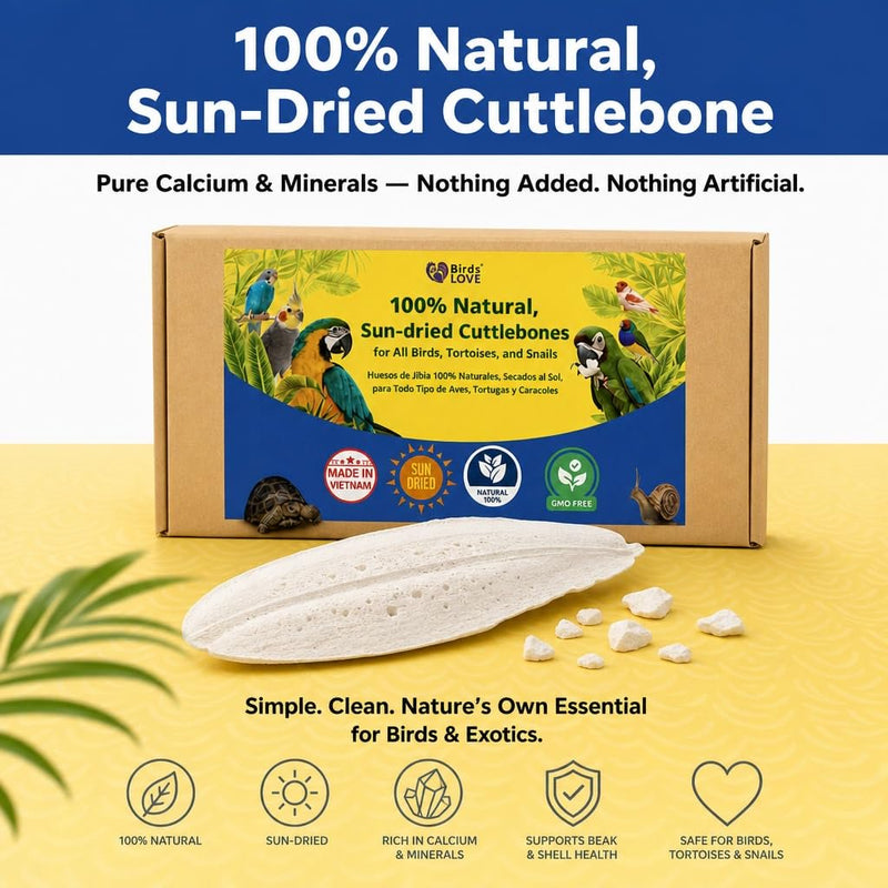 Farm to Feathers™ Economy & Thin Spray Millet with Cuttlebone Bundle – USA Grown Millet Sprays for All Birds, Cockatiels, Lovebirds, Parakeets, Finches – 7 Ounce (Pack of 1) + 4" Cuttlebone (4-Pack)
