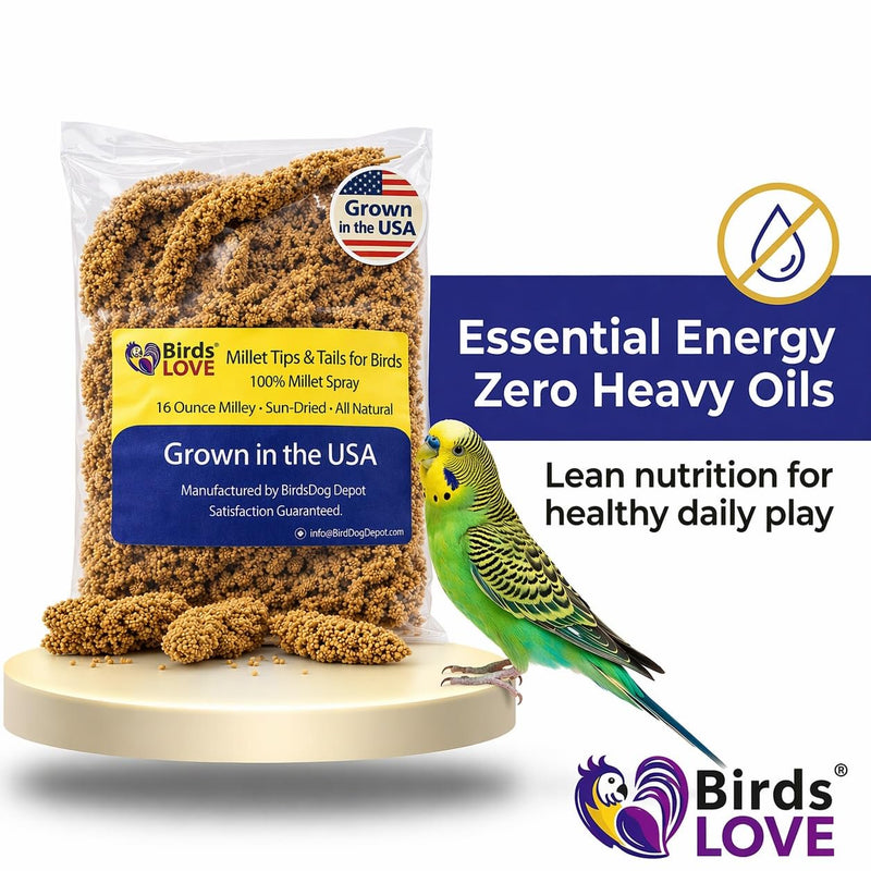 Birds LOVE® 1lb Millet Tips & Tails for Birds – Premium Spray Millet Treat, USA Grown – Natural & Healthy Bird Food for Parakeets, Cockatiels, Budgies, Lovebirds, Finches, Canaries & Parrots – 2 Pack