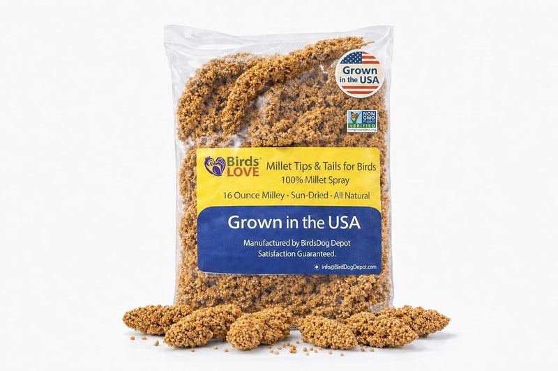 Birds LOVE Millet Tips & Tails for Birds - Premium Spray Millet Treat, Non-GMO, USA Grown - Natural Bird Food for Parakeets, Cockatiels, Budgies, Lovebirds, Finches, Canaries & Parrots - 1 lb