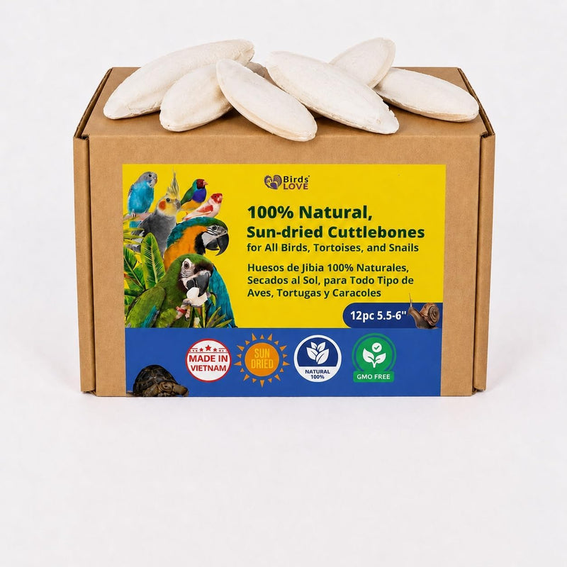 Birds LOVE Natural Cuttlebone - 12 Pack, 5.5-6"