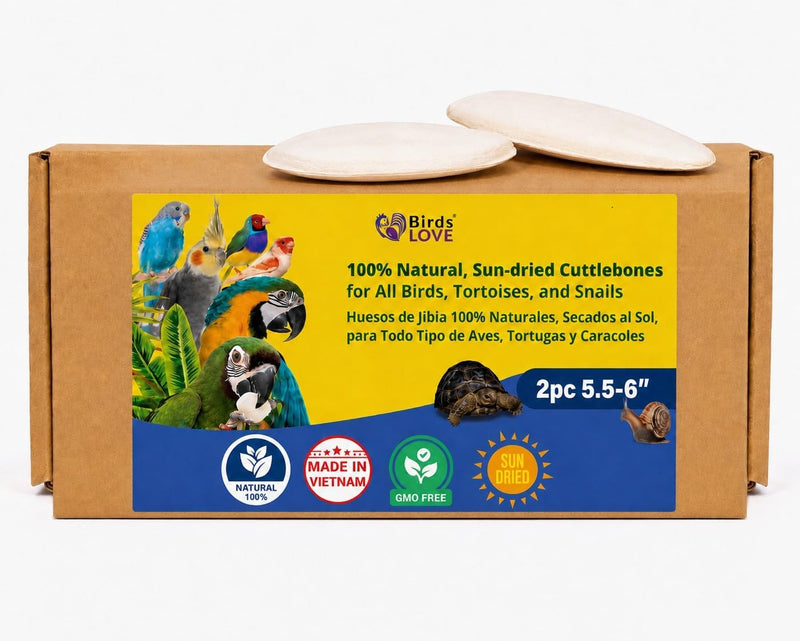 Birds LOVE Natural Cuttlebone - 2 Pack, 5.5-6"
