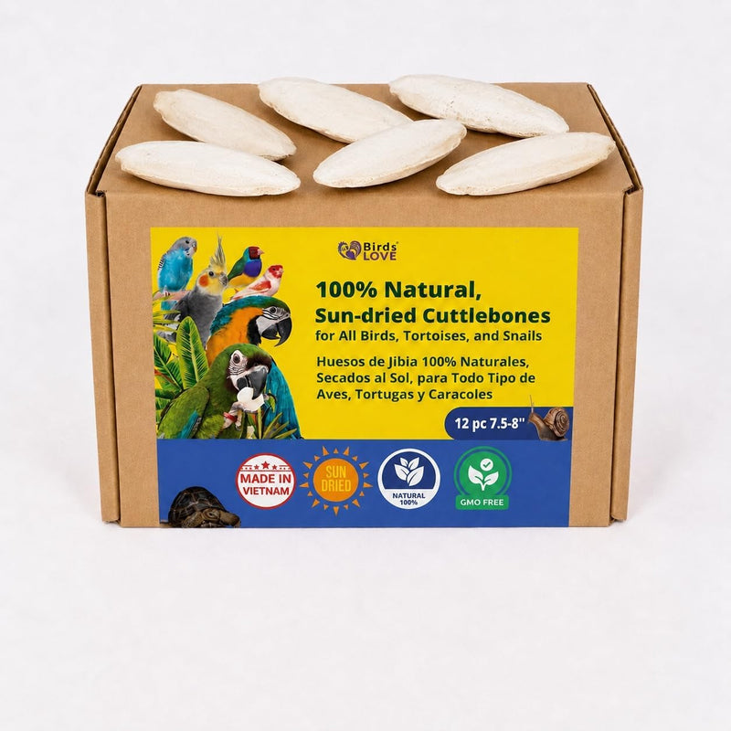 Birds LOVE Natural Cuttlebone - 12 Pack, 7.5-8"
