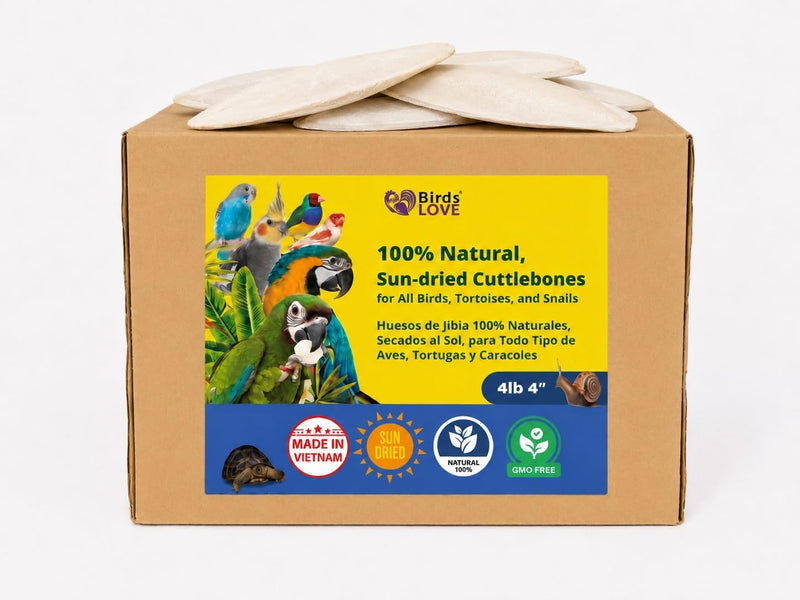 Birds LOVE Natural Cuttlebone - 4 lb bulk, 3.5-4"