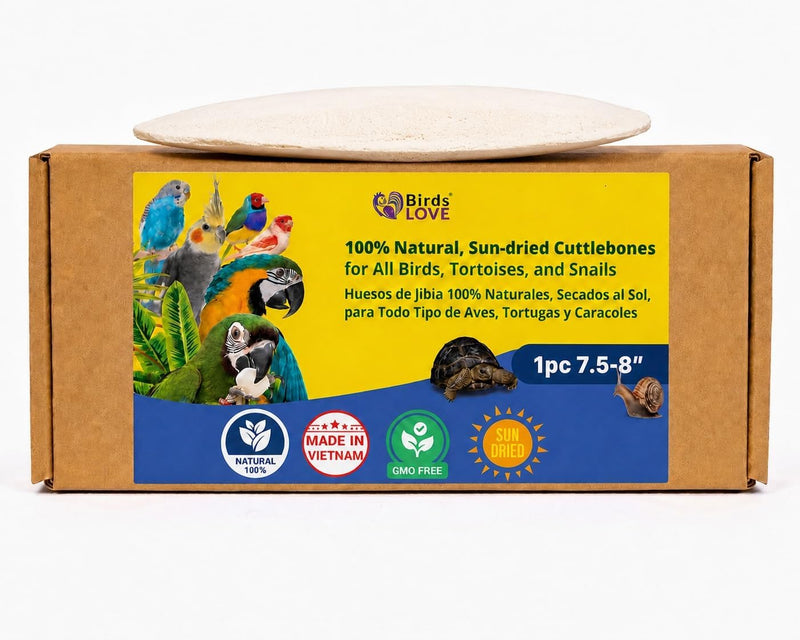 Birds LOVE Natural Cuttlebone - 1 Pack, 7.5-8"