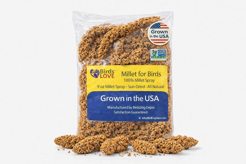 9 oz Economy Spray Millet - GMO-Free, No Stems, Natural Sun-Dried